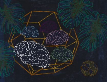 向量数据库:AI 时代的新基础设施-子比笔记